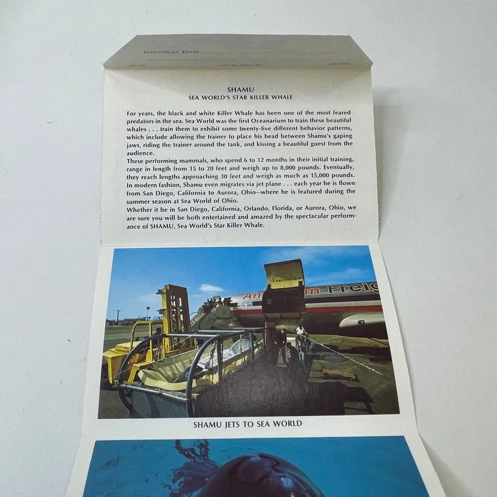 Shamu Whale Sea World Foldout Postcard Photo Booklet Vintage 1970s‎ San Diego CA